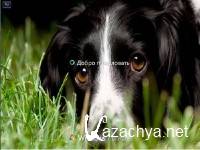 Windows 7 Ultimate SP1 x64 VolgaSoft v.2.7(RUS/2012)