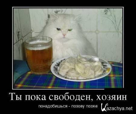 ������ ������������ ����-2 (200 ��������)