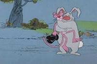   .   / The Pink Panther Classic Cartoon Collection (1964-1980) DVDRip