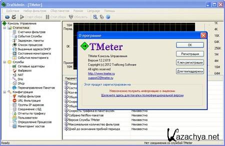 TMeter 12.2.619 (2012) Eng+Rus