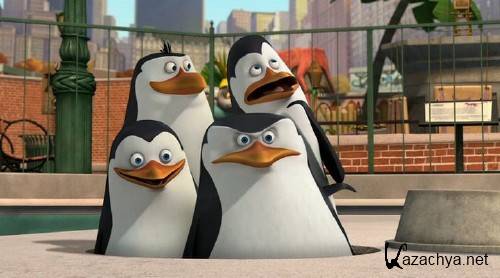  :   / Penguins Of Madagascar: Operation Vacation (2012) DVDRip