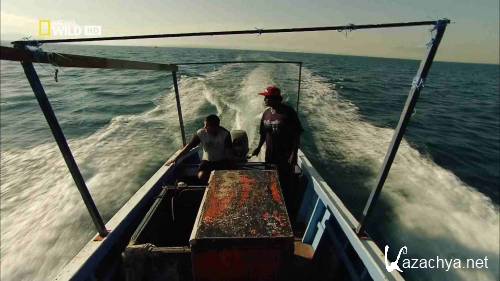 �������: ����� / Islands: Fiji (2011) HDTVRip 1080p