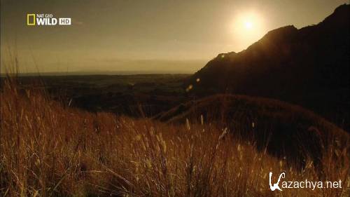 �������: ����� / Islands: Fiji (2011) HDTVRip 1080p