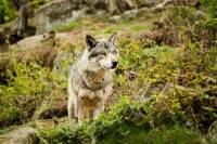 ����� �������� ����� �� ������ �������� (����� 11)