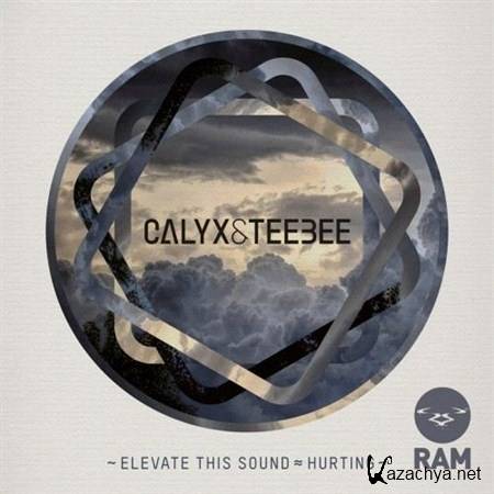 Calyx & Teebee - Elevate This Sound / Hurting (2012)