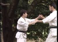 �������� ������ ����� (1996) DVDRip