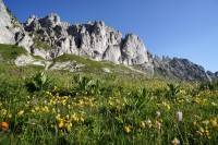 ������������ ���� � ���������� �������� (����� 12)