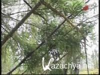 Шалаш для охотника (2012) SATRip Шалаш для охотника (2012) SATRip