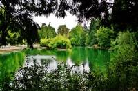 ������ ���������� ������� (����� 51) 