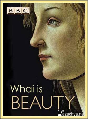 :    / : What is beauty (2011) DVB-Rip 