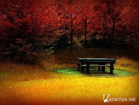 ������ ������ ������� �� ���� ����������