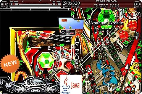 3D, 2D Timeshock Pro Pinball / Timeshock  2D, 3D