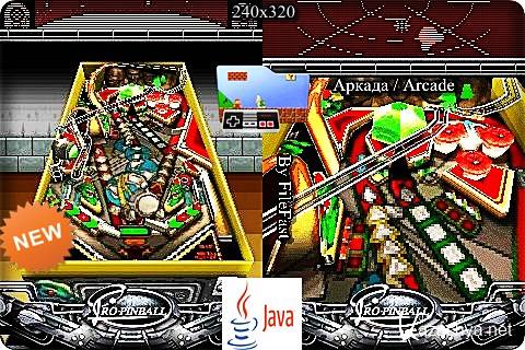 3D, 2D Timeshock Pro Pinball / Timeshock  2D, 3D