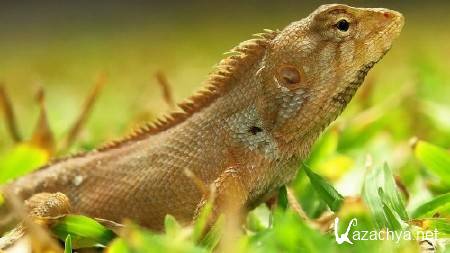 ����� ����� ������� ��� �������� �����