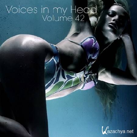 Voices in my Head Volume 42 