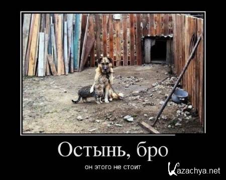 ������ ������������ �������-3 (200 ��������)