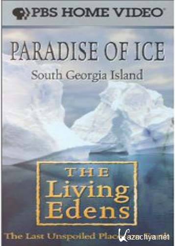  .   .   / The living edens. South Georgia Island. Paradise of Ice (1996) SATRip
