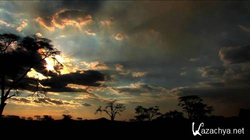     / Natur und Musik Afrika (2007) BDRip 720p