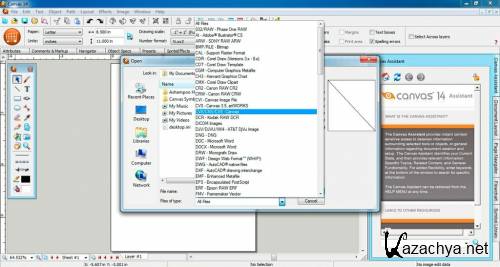 ACD Systems Canvas 14.0 ENG