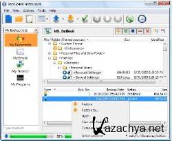 Backup4all Professional 4.8 + Portable v 4.8 (2012)