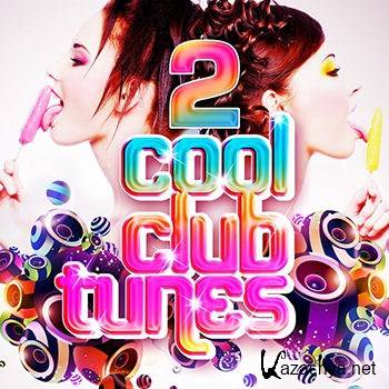 Cool Club Tunes Vol 2 (Best in Club, Electro and DJ's Ibiza Disco House Grooves) (2012)