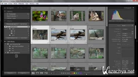 Adobe Photoshop Lightroom -     (47 ) (2012) DVDRip