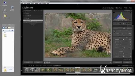 Adobe Photoshop Lightroom -     (47 ) (2012) DVDRip