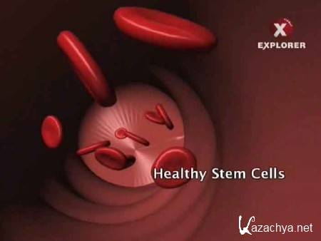  .   / Super Science: Stem cells (2012) SATRip 