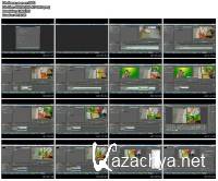    Adobe Premiere Pro (2012)  MPG