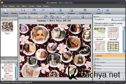 Photo Collage Max 2.1.5.6 [Multi+Rus] + Portable