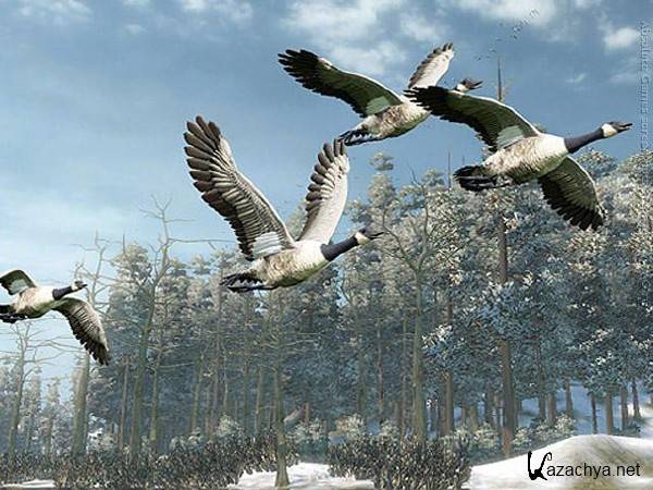 Cabela's Outdoor Adventures (2009Rus/Eng/PC) Repack Cabela's Outdoor Adventures (2009Rus/Eng/PC) Repack