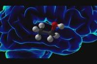 ���������� ���������-2 (2012) TS