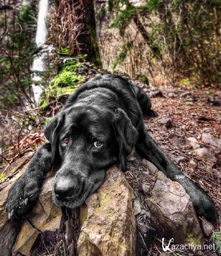 ��������� ��������� � ������� ������� HDR Efex Pro