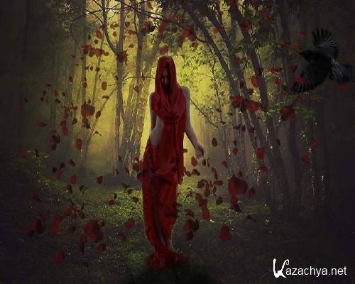 ���� Photoshop ������ ������������� ���