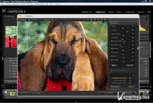 Nik Software Viveza 2.009 Revision 20903 (32x64) Rus