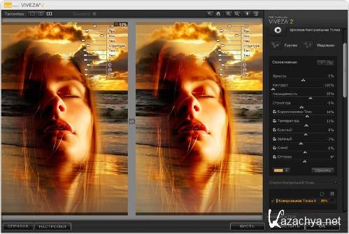 Nik Software Viveza 2.009 Revision 20903 (32x64) Rus