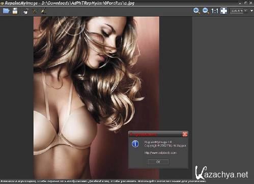 AdvancedPhotoTools RepaintMyImage v1.0 Portable Rus