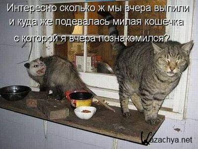 ����������� ������������ 01