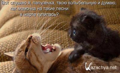 ����������� ������������ 01