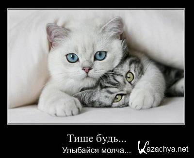 ����������� ������������ 02