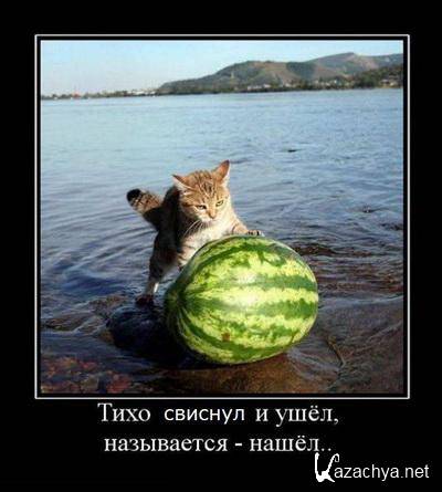 ����������� ������������ 02