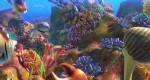  2:  / The Reef 2: High Tide (2012/BDRip 720p/HDRip)