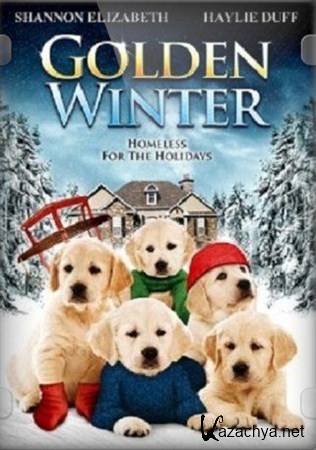   / Golden Winter (2012/DVDRip/ENG)