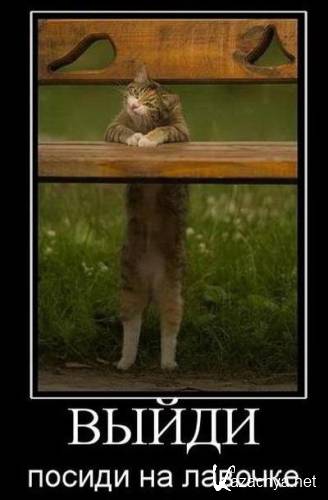 ����������� ������������ 02