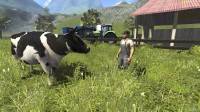 Farming Simulator 2013 (2012/PC/RUS/ENG)