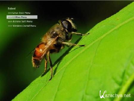 Disk Reanimator v2.0 DVD5-Edition (2012/RUS/ENG) by shaman Disk Reanimator v2.0 DVD5-Edition (2012/RUS/ENG) by shaman