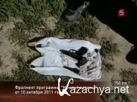 Момент истины (эфир 19.11.2012) SATRip Момент истины (эфир 19.11.2012) SATRip