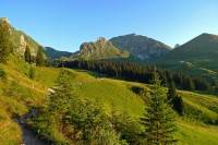 ���� - ������������ ������� (����� 49)