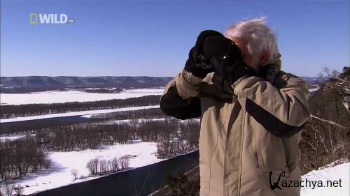 National Geographic: ����������� ����� / National Geographic: American Eagle (2009) HDTV 1080i