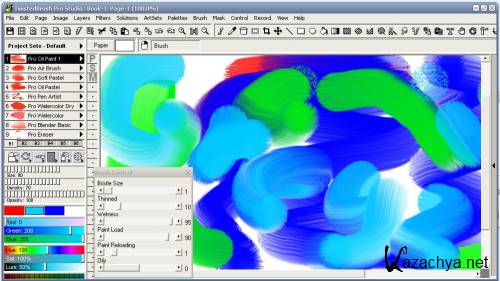 TwistedBrush Pro Studio 19.12 ENG